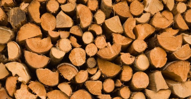 Feuerzauber Feuerzauber