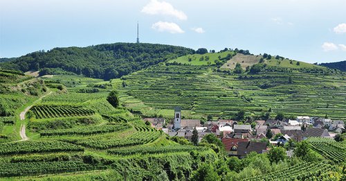 Willkommen im Kaiserstuhl
