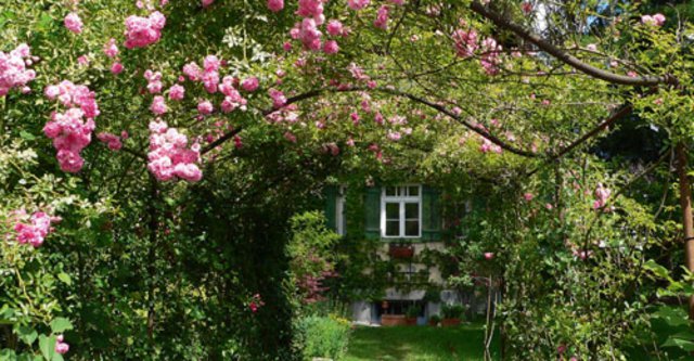 Ganz romantisch Ganz romantisch